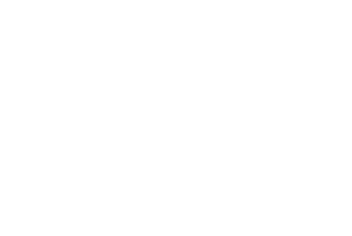 partner-logo