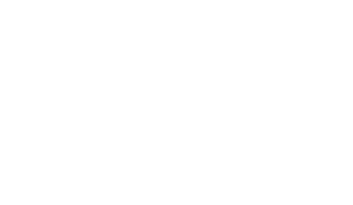 partner-logo