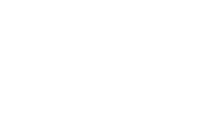 partner-logo